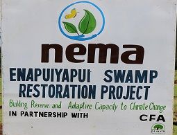 Enapuiyapui Swamp Restoration