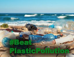 World Environment Day 2023