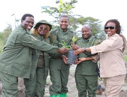 The National Tree Growing Day