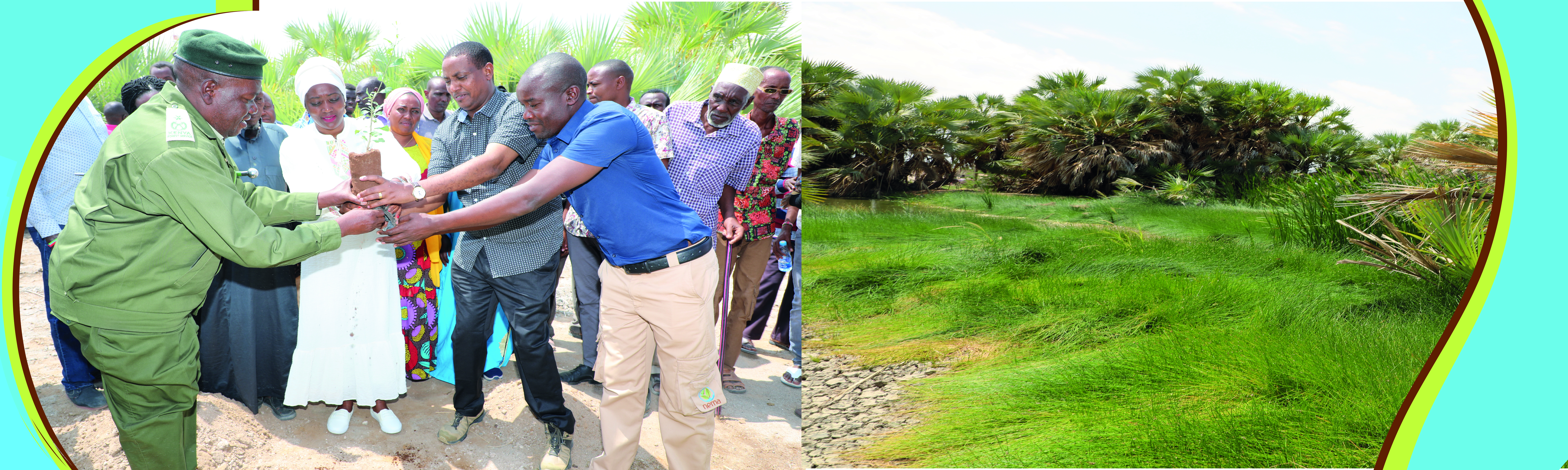 Wetlands Restoration